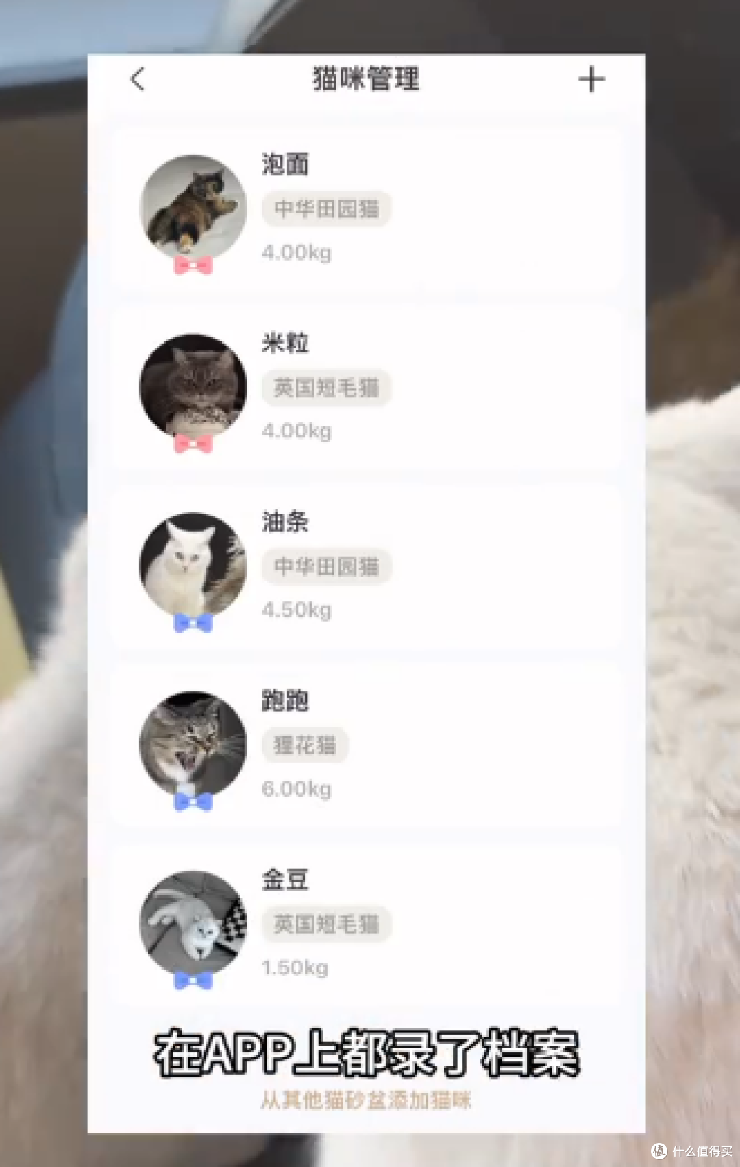 2025年宠物智能天下:这款国产宜宝自动猫砂盆成为养猫人新宠?