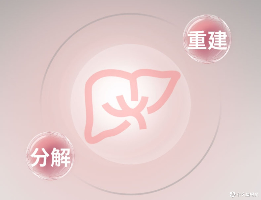 燕教授后生元闪释粉2.0即将上线!你的健康焦虑,它都懂