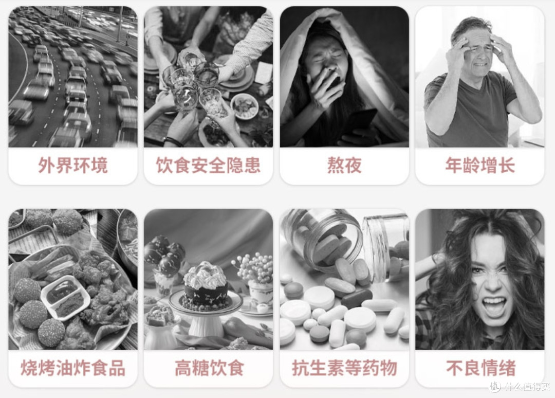 燕教授后生元闪释粉2.0即将上线!你的健康焦虑,它都懂