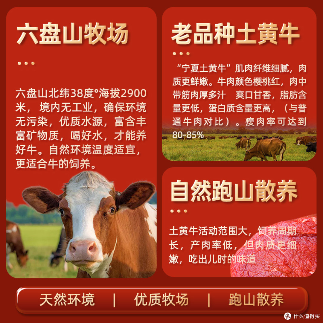 一口鲜嫩！谷开元宁夏黄牛肉，解锁舌尖上的西北风味