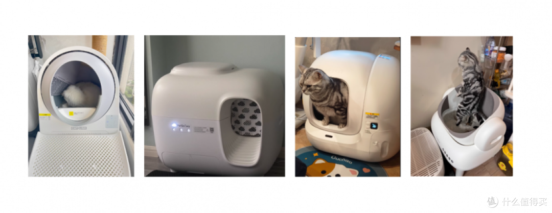 2025热门千元自动猫砂盆品牌横测_新手养猫指南