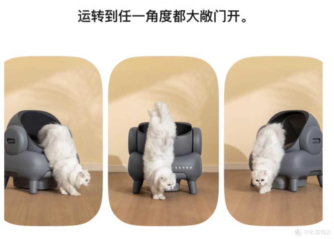 2025热门千元自动猫砂盆品牌横测_新手养猫指南