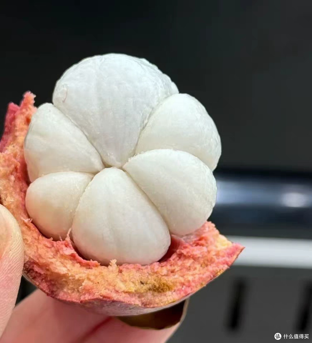 山竹综合解析