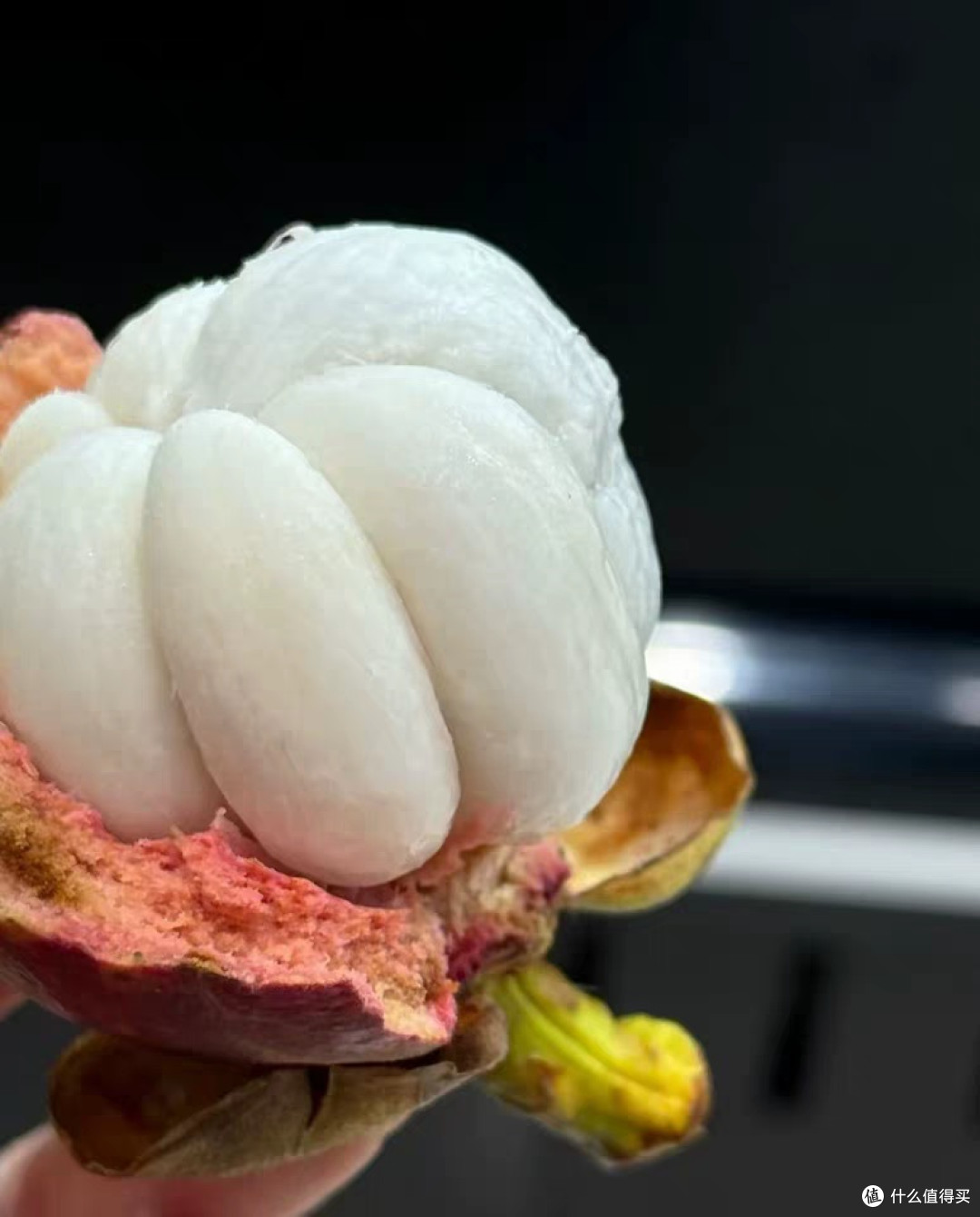 山竹综合解析