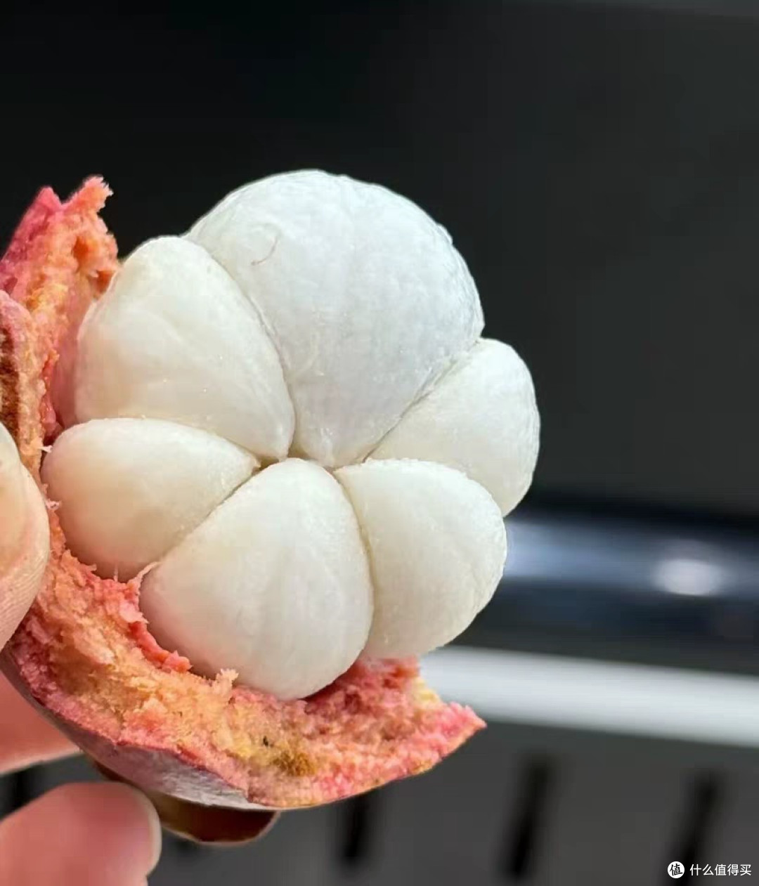 山竹综合解析