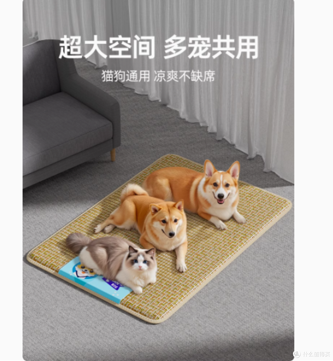 柒哦宠物用品专营店:狗狗猫咪的夏日清凉之选——凉席睡垫