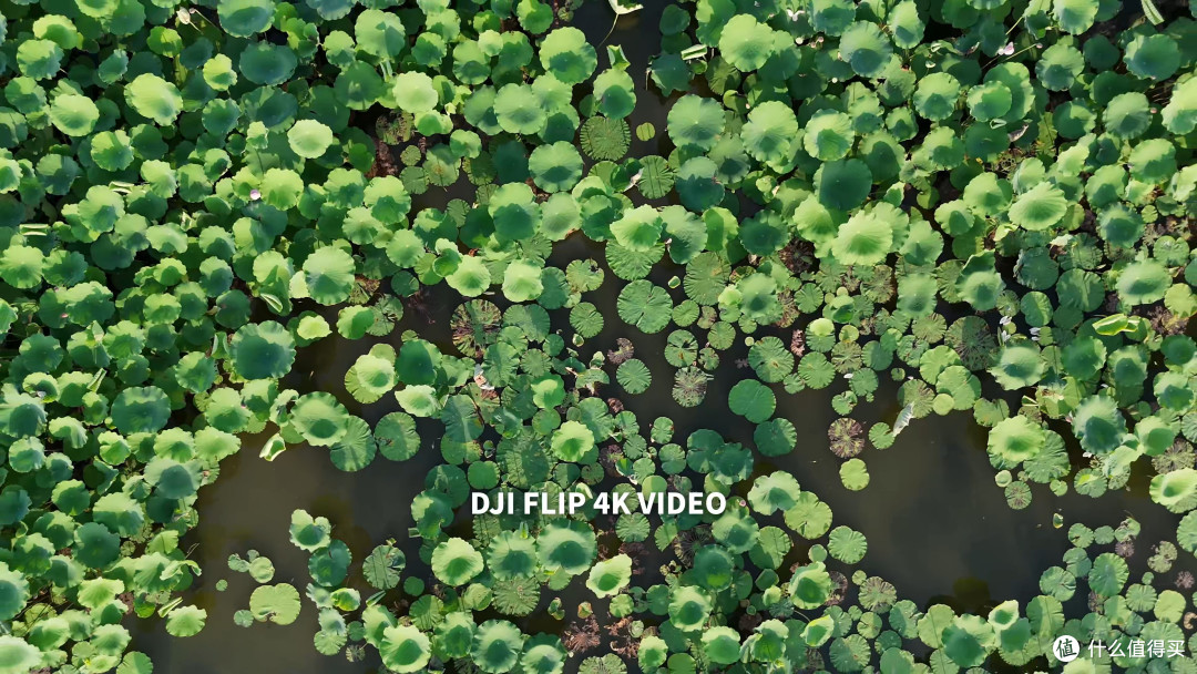 618仅需23XX!大疆 DJI FLIP 最佳入门航拍机体验!