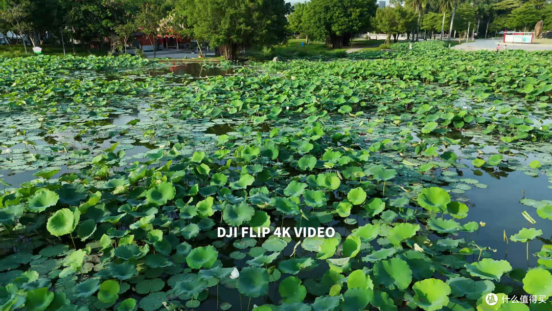 618仅需23XX!大疆 DJI FLIP 最佳入门航拍机体验!