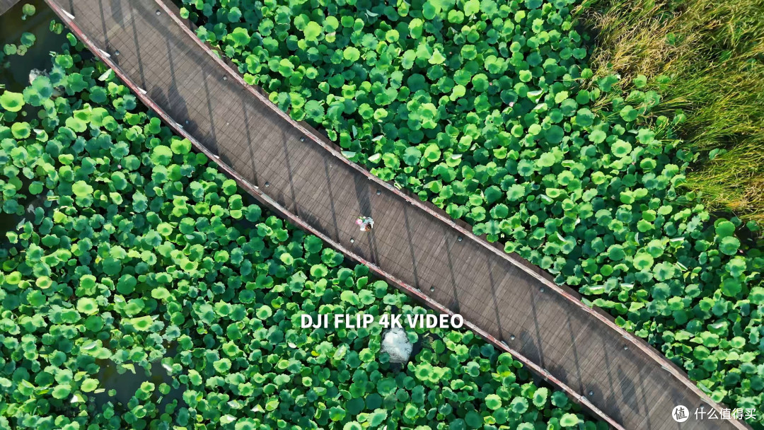 618仅需23XX!大疆 DJI FLIP 最佳入门航拍机体验!