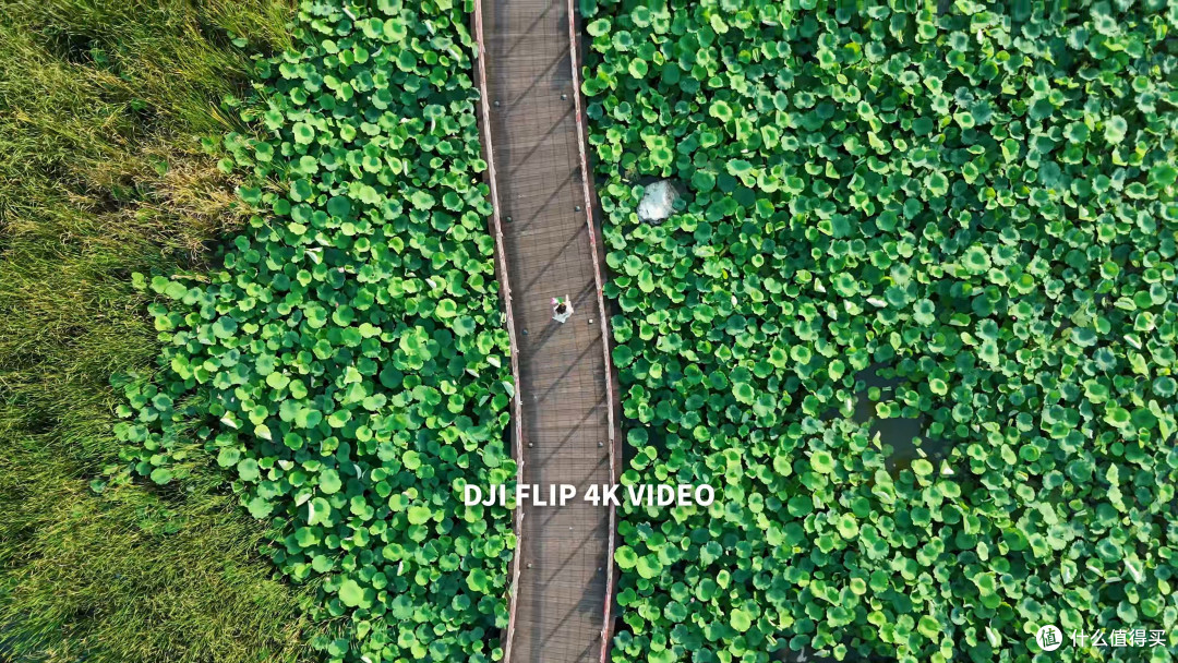 618仅需23XX!大疆 DJI FLIP 最佳入门航拍机体验!