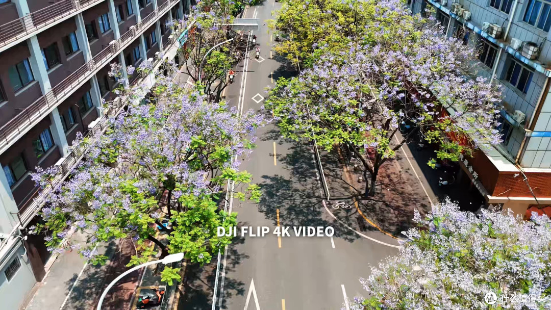 618仅需23XX!大疆 DJI FLIP 最佳入门航拍机体验!
