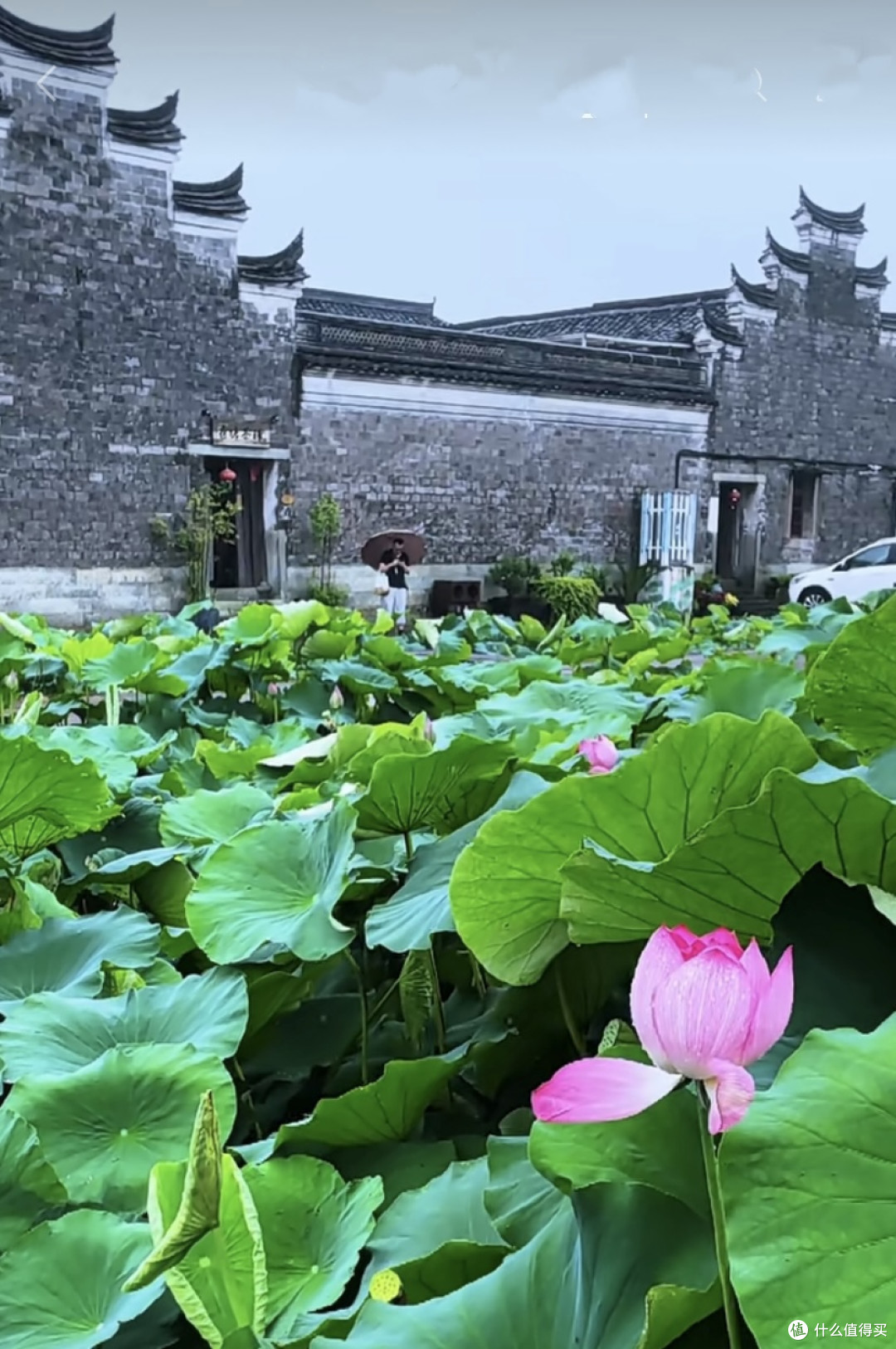 杭州山水美景四日游攻略(不看后悔!)