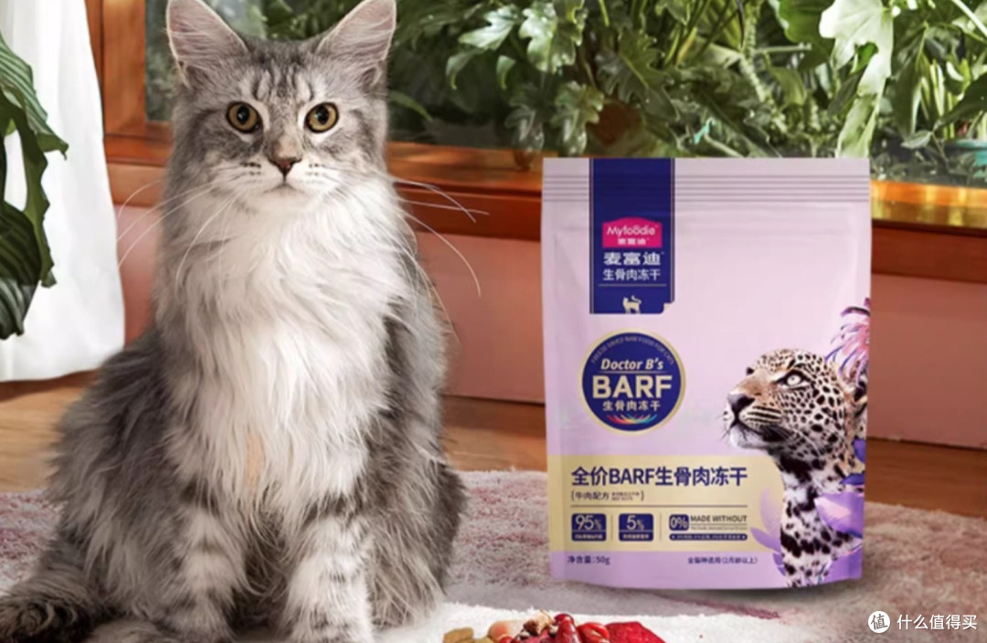 猫冻干哪种比较好吃又营养?好的猫咪主食冻干推荐