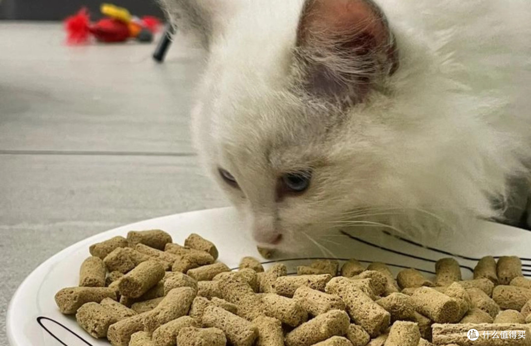 猫冻干可以随便买吗?容易踩雷吗?不踩雷猫冻干品牌推荐一下