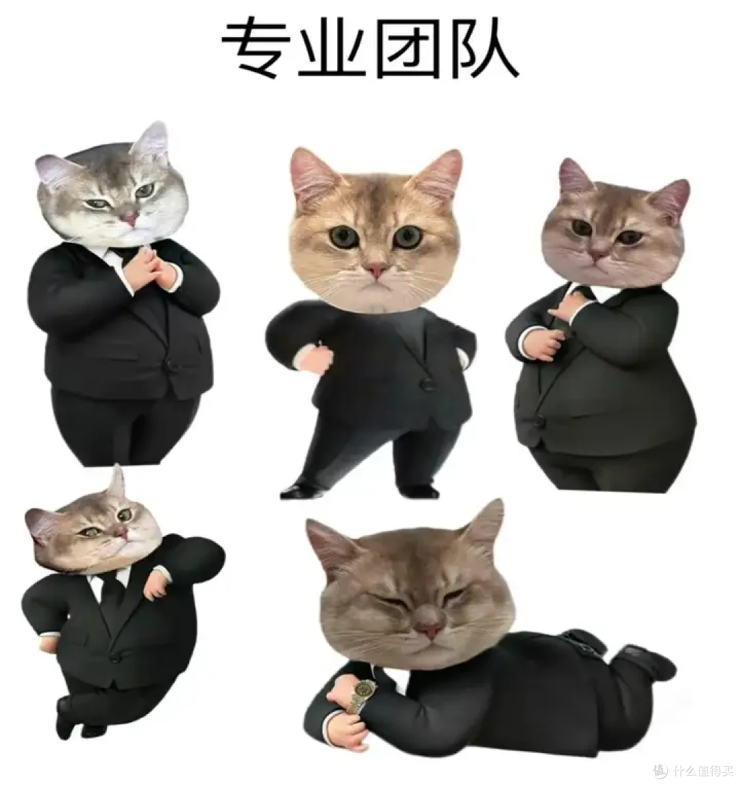 电熨斗哪个好用?十大品牌深度测评,熨烫效果清晰呈现