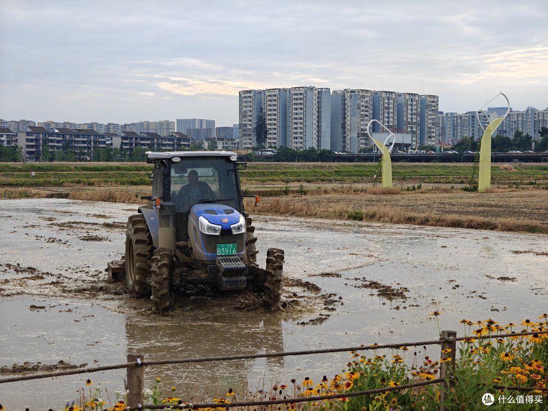 成都城市绿道,有时间一定要骑一圈
