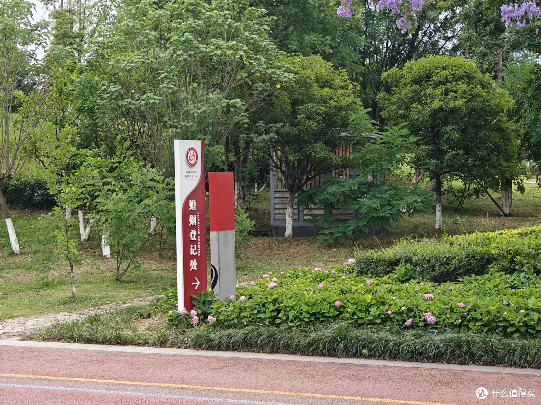 成都城市绿道,有时间一定要骑一圈