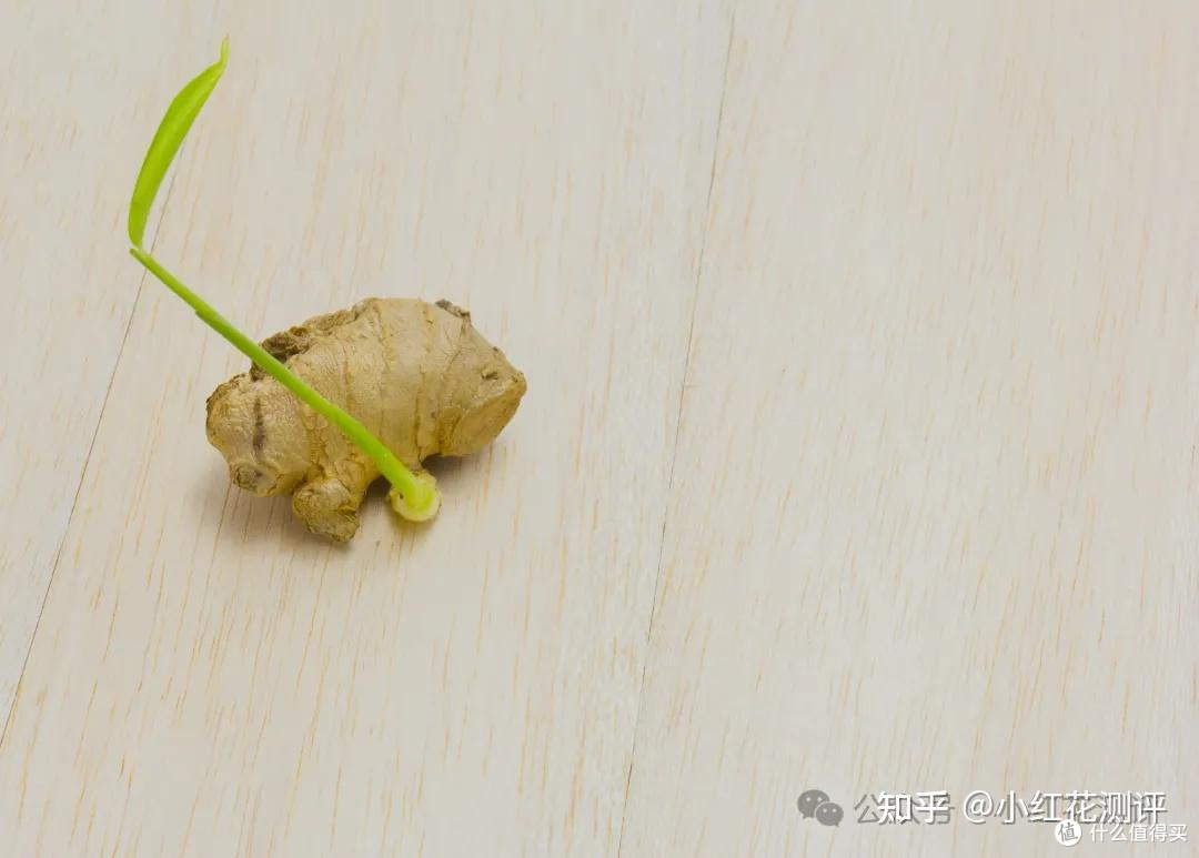 发芽蔬菜？ | 科学解析「吃与不吃」的边界