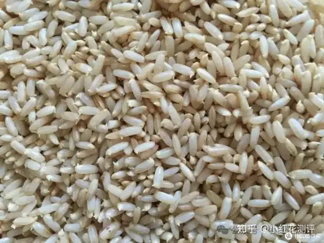 发芽蔬菜？ | 科学解析「吃与不吃」的边界