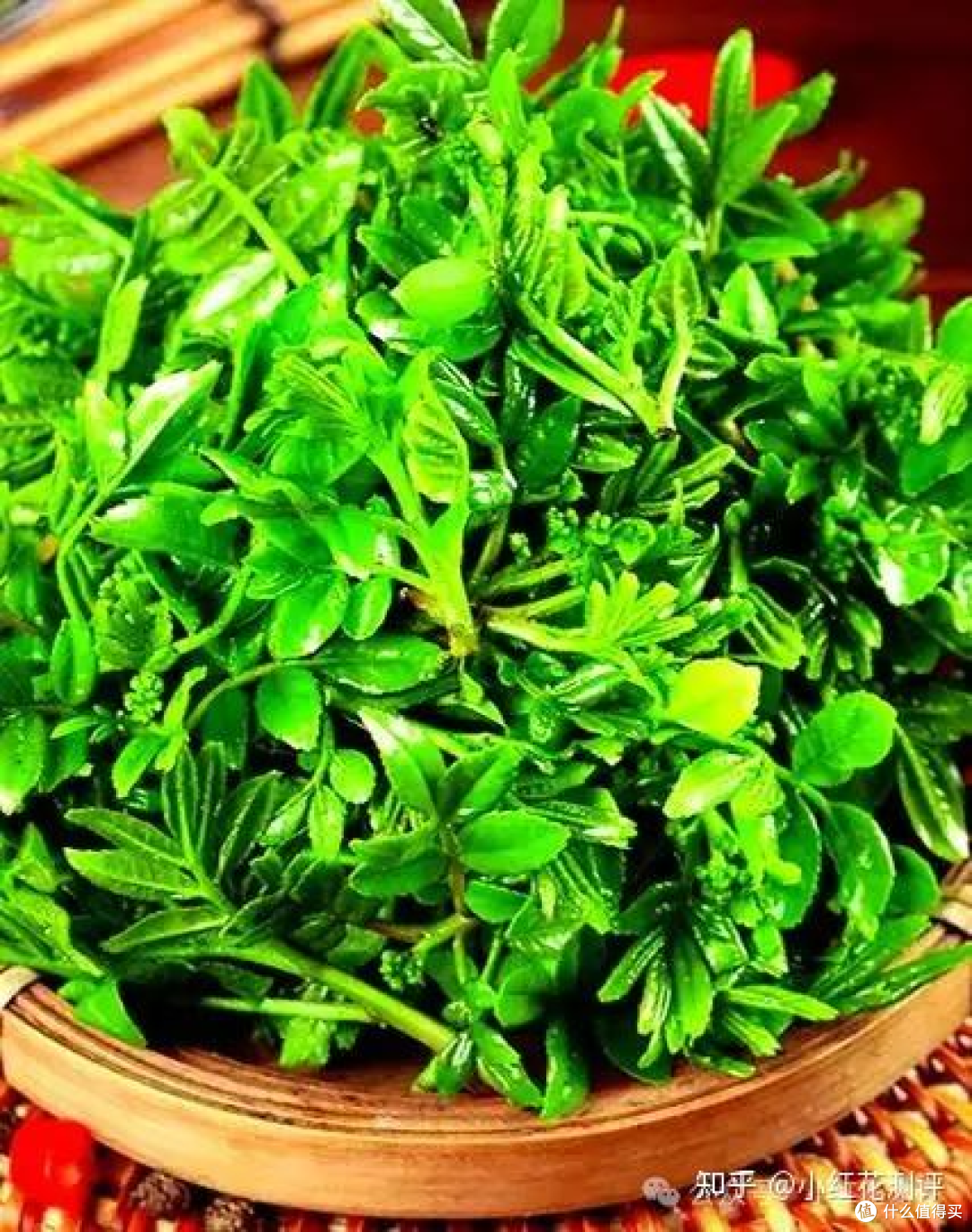 发芽蔬菜？ | 科学解析「吃与不吃」的边界