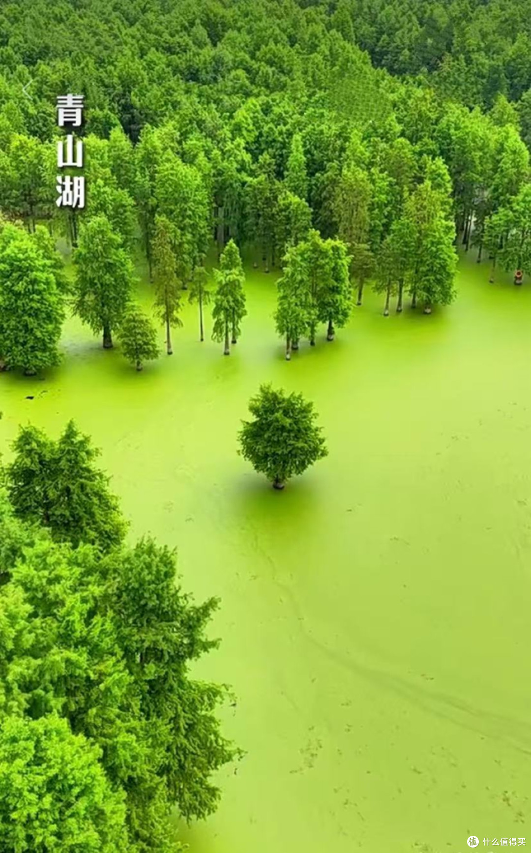 杭州山水美景四日游攻略(不看后悔!)