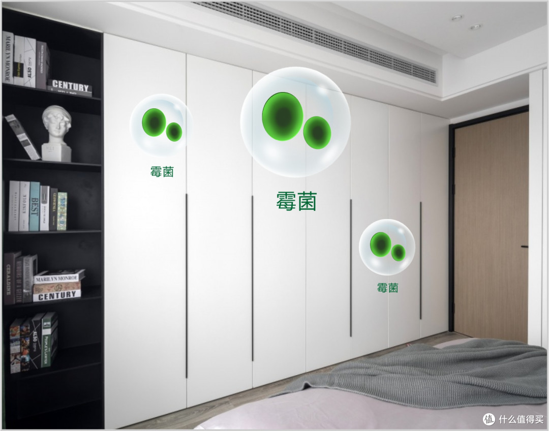 地球矿物的力量!伟业五强板用无机胶打造百年无忧的健康家