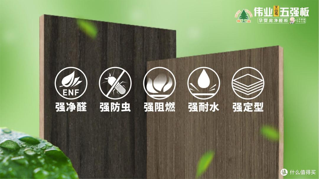 救命!伟业五强板的无机生态胶,把家装安全感焊死了