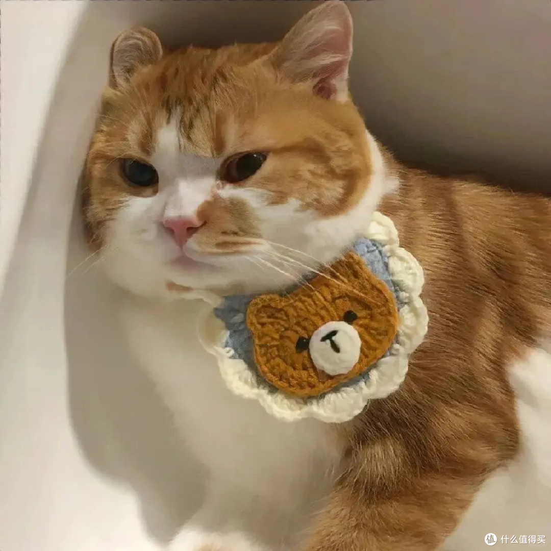 健康便宜的猫冻干哪个牌子好一点?猫冻干品牌排行榜前十分享
