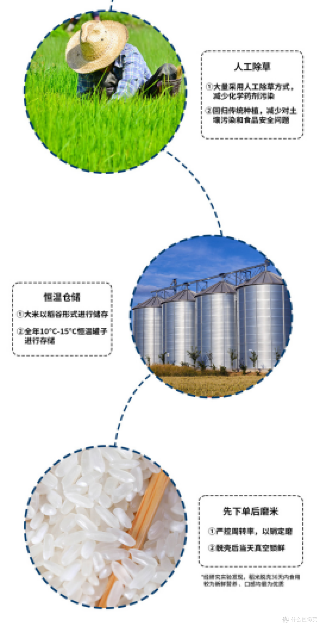 五常大米如何储存才能延长保质期?
