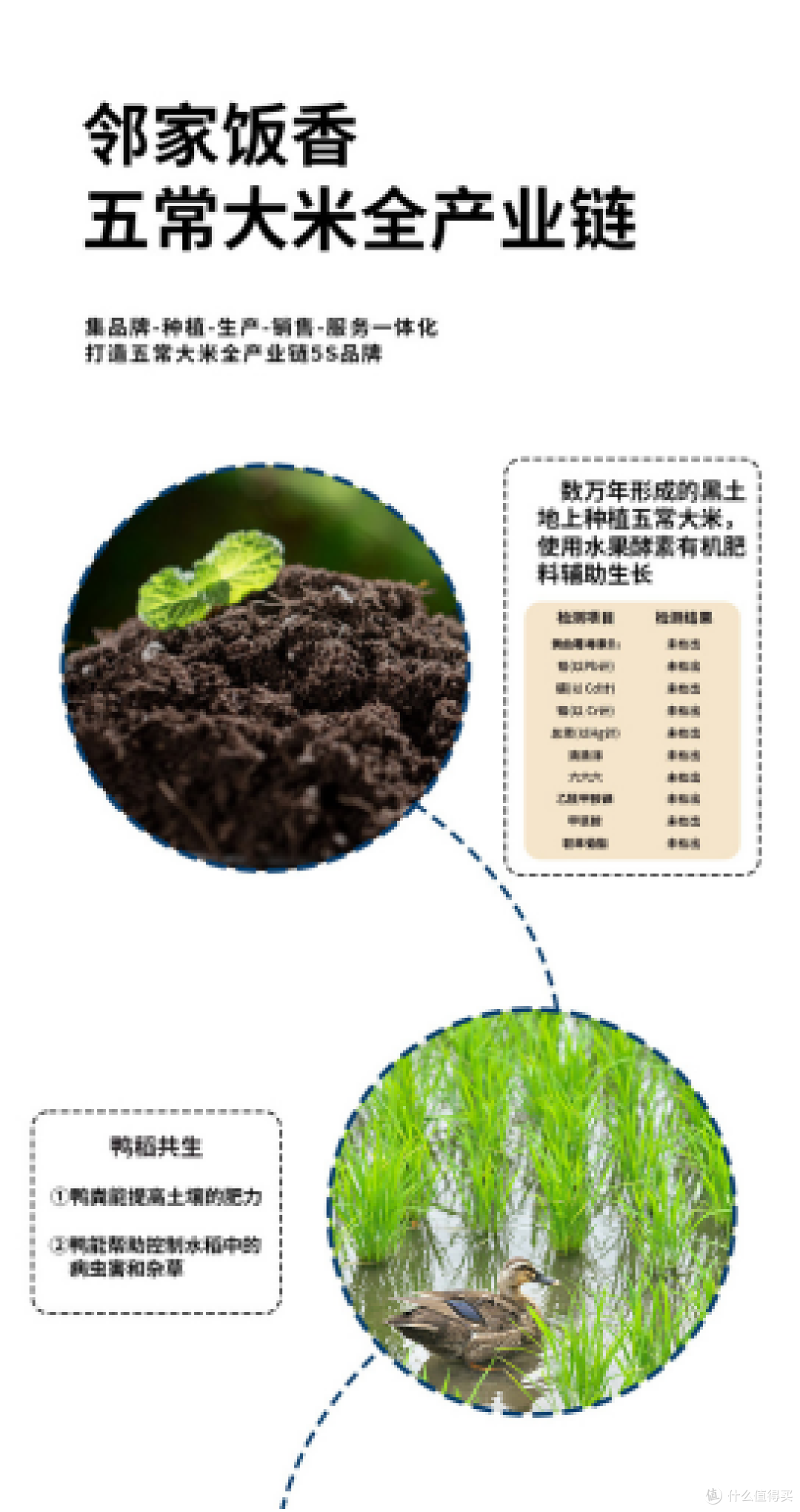 五常大米如何储存才能延长保质期?