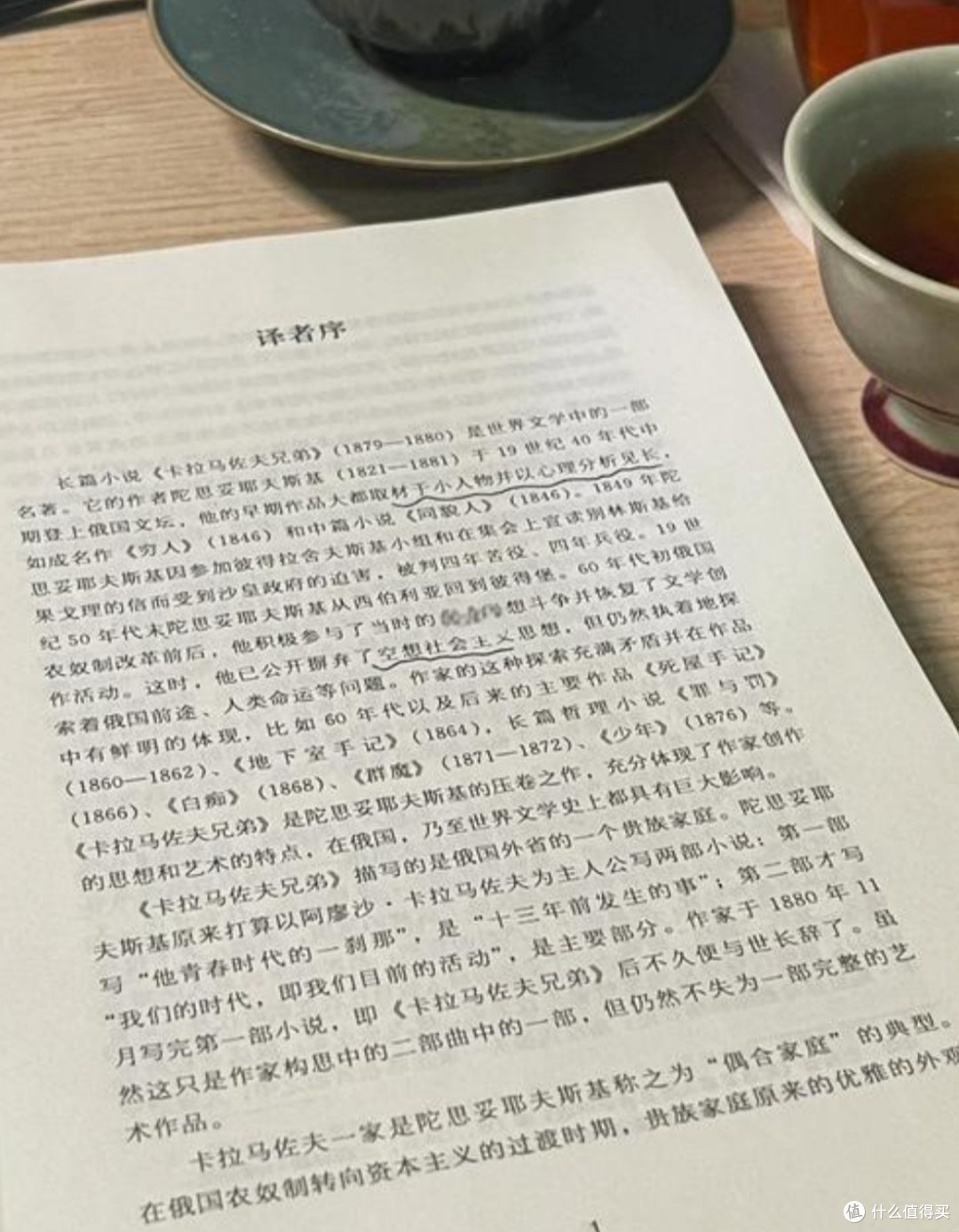 《卡拉马佐夫兄弟》:人性与信仰的深度剖析