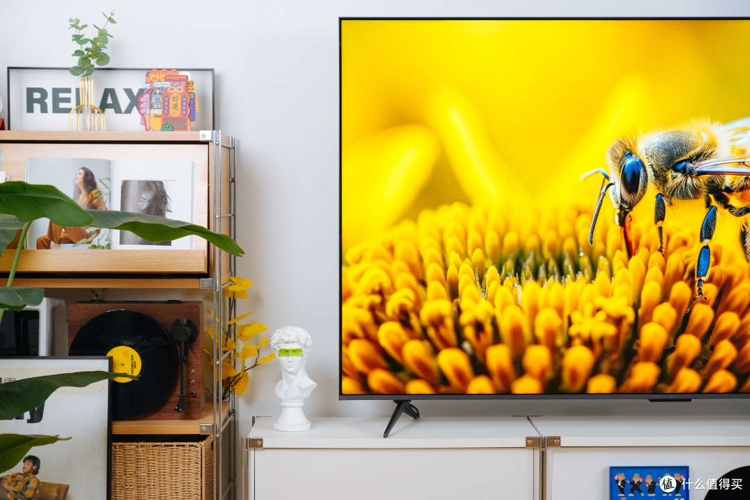 五千价位画质新标杆?TCL T7L Pro Mini LED电视上手