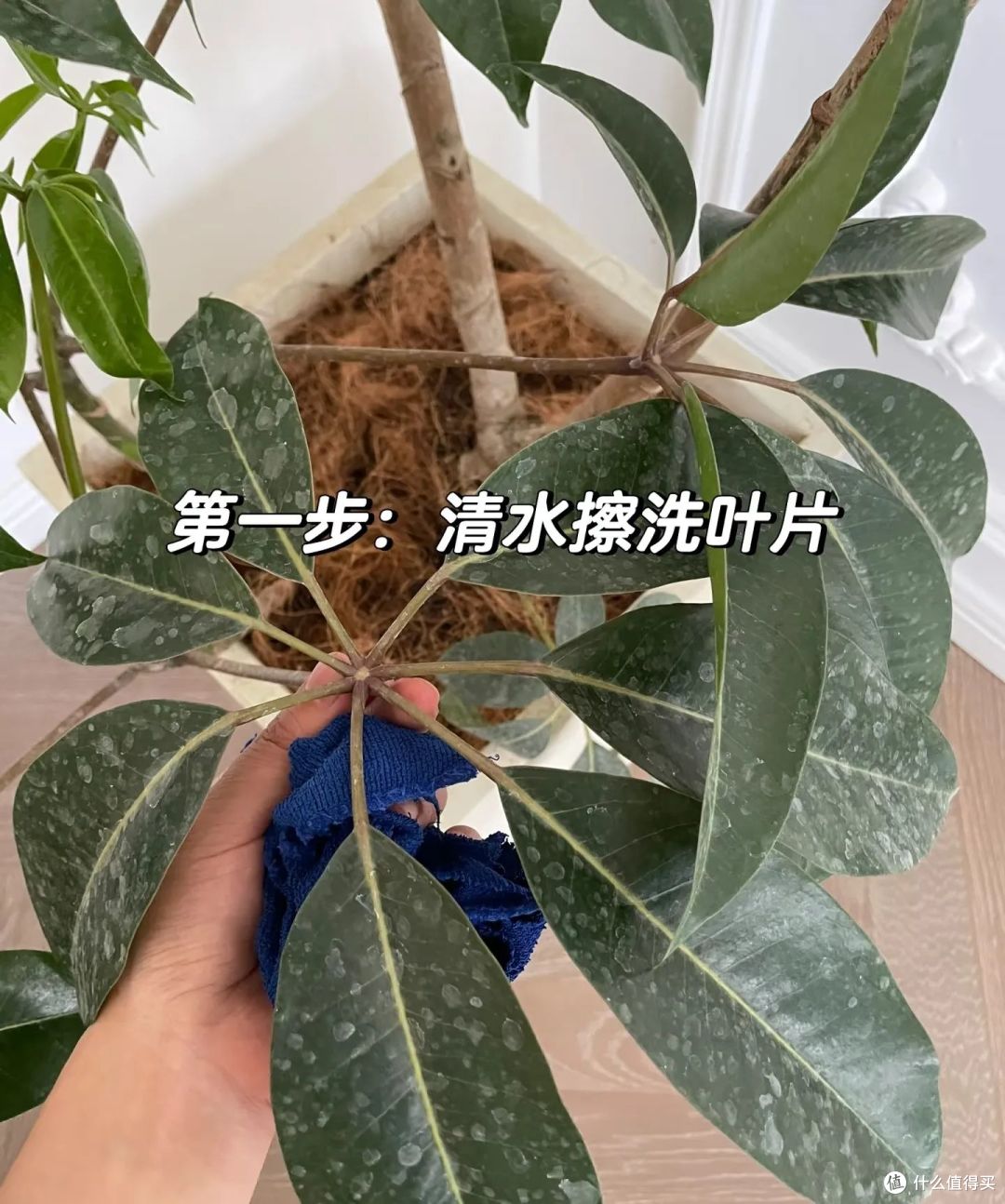 夏天的“剩啤酒”可别扔,这样利用一下,就能变废为宝,超实用!