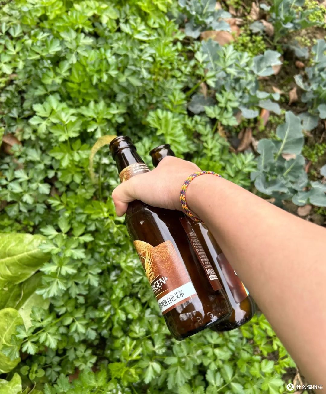 夏天的“剩啤酒”可别扔,这样利用一下,就能变废为宝,超实用!