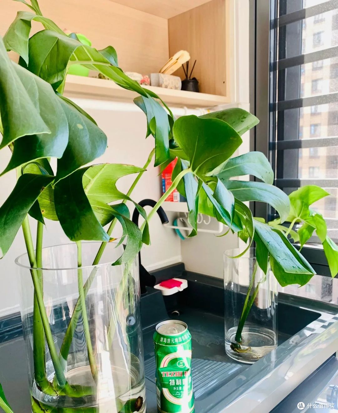 夏天的“剩啤酒”可别扔,这样利用一下,就能变废为宝,超实用!