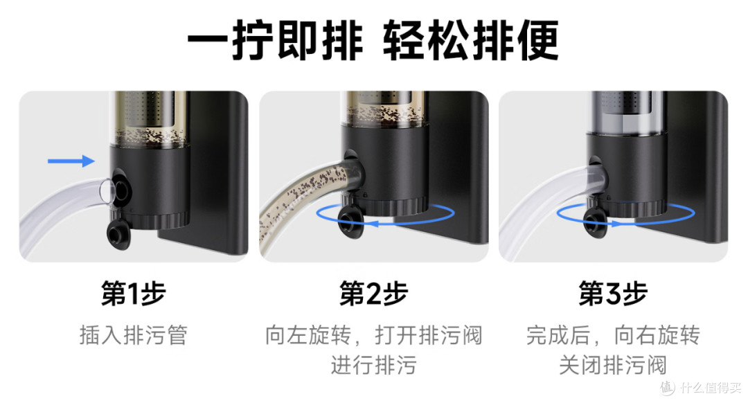 生态缸新手进阶快乐教程,这次真的可以躺平享受了