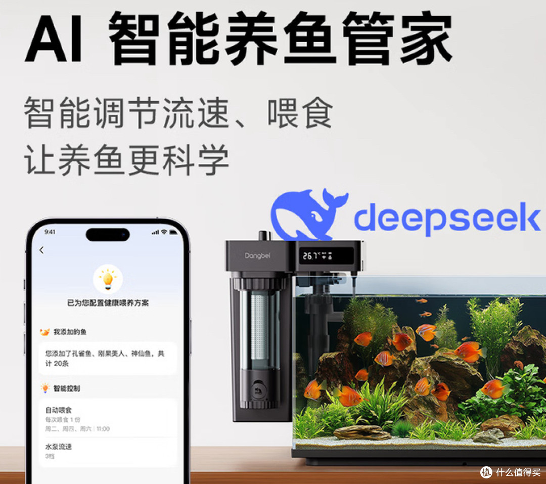 生态缸新手进阶快乐教程,这次真的可以躺平享受了
