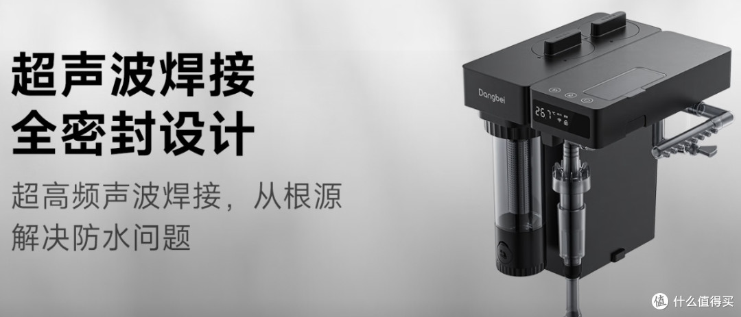 生态缸新手进阶快乐教程,这次真的可以躺平享受了