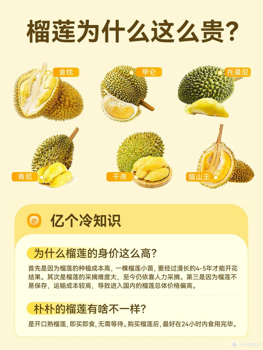 榴莲星人必读:不同品种的口感与特点