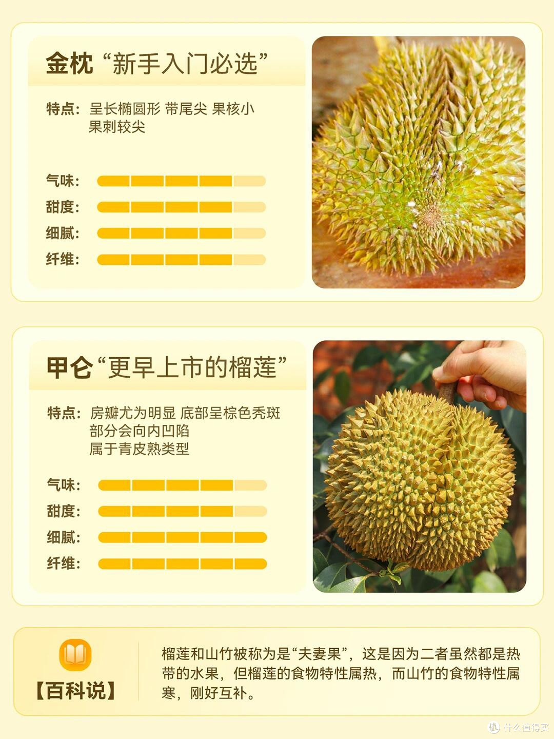 榴莲星人必读:不同品种的口感与特点