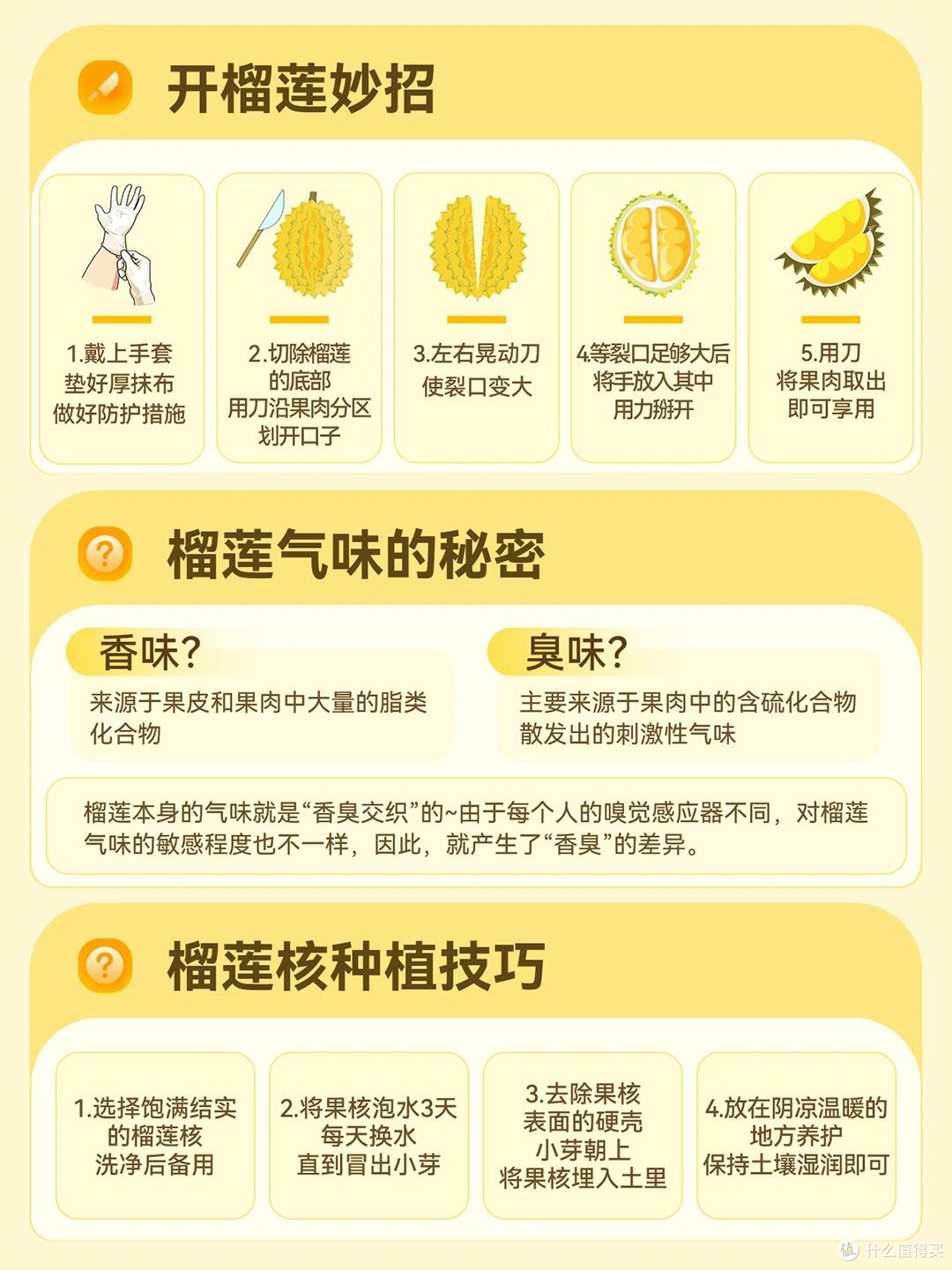 榴莲星人必读:不同品种的口感与特点