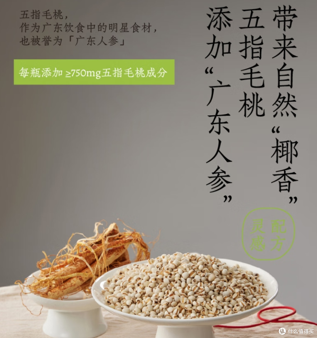 好望水五指毛桃薏米水:一瓶融合传统智慧与现代健康的轻养生之选