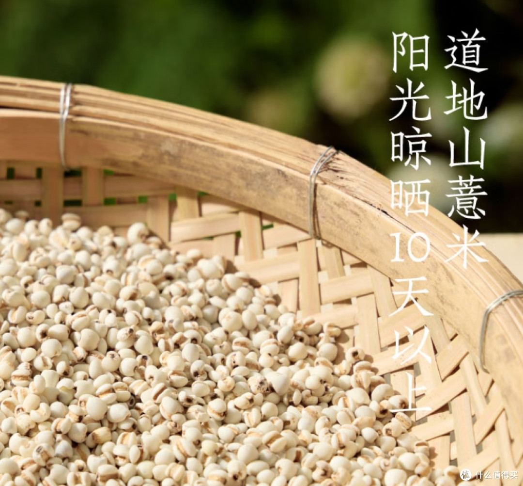 好望水五指毛桃薏米水:一瓶融合传统智慧与现代健康的轻养生之选