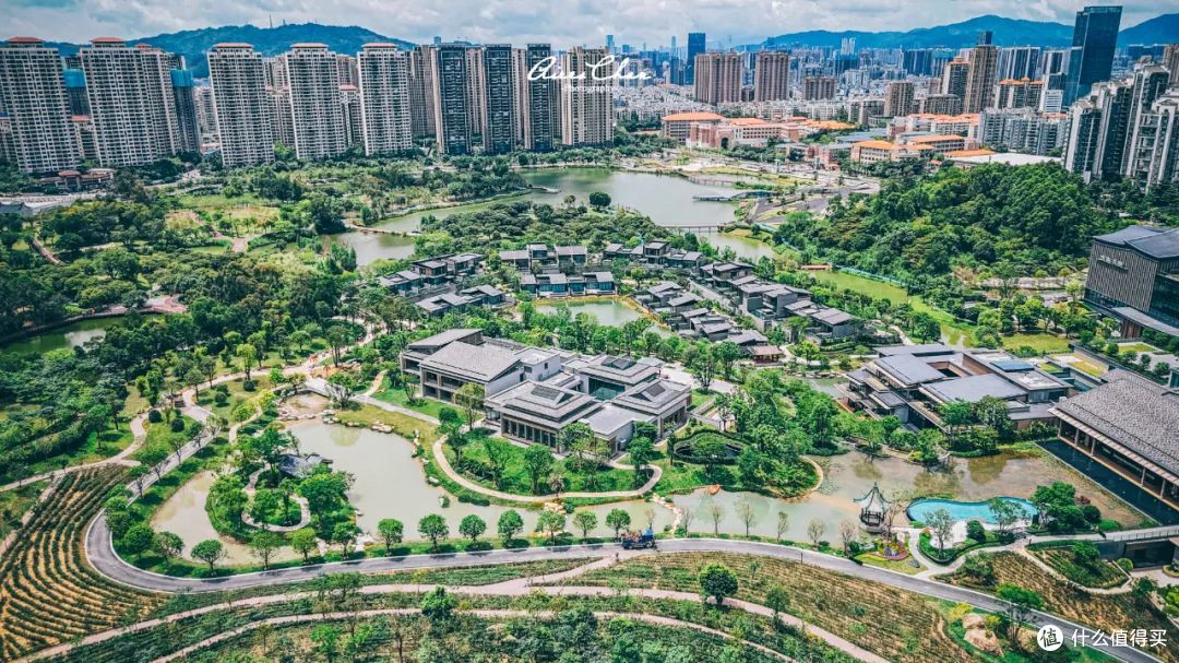 全球首家美高梅华府，是大湾区岭南美学的新地标