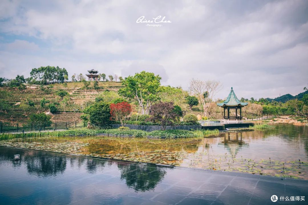 全球首家美高梅华府，是大湾区岭南美学的新地标
