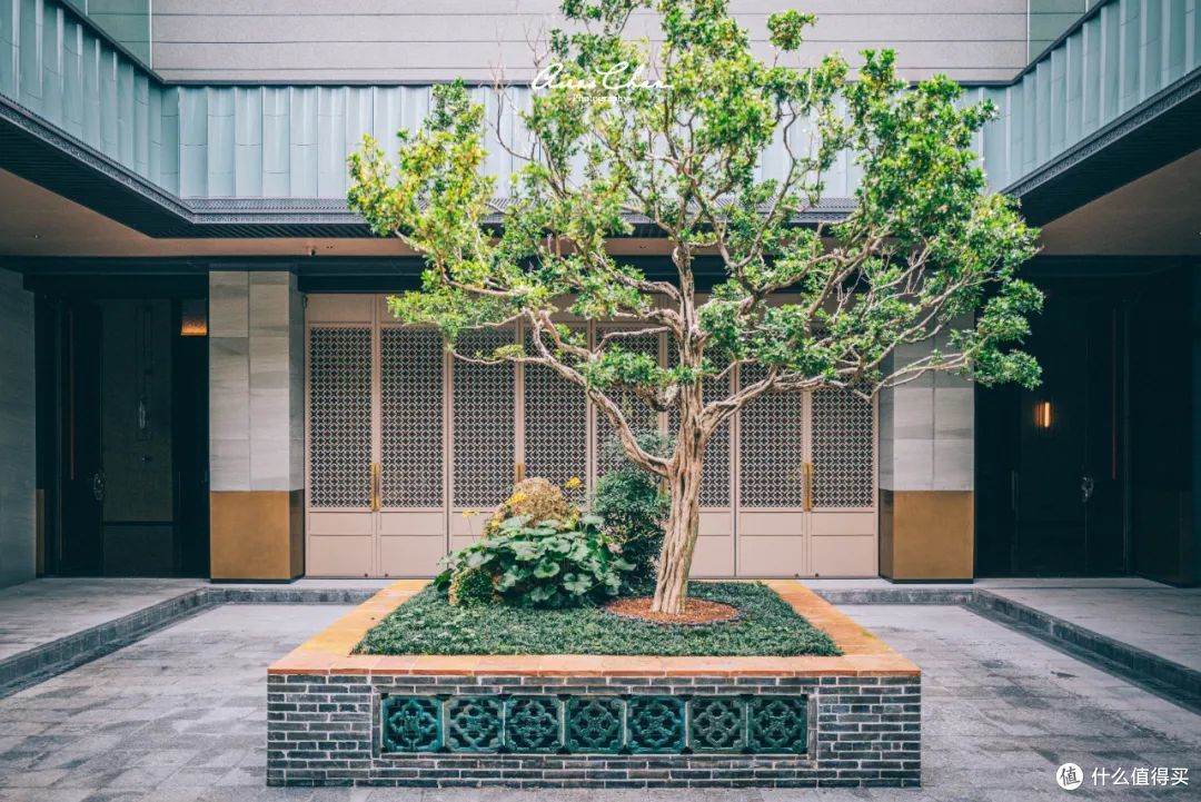 全球首家美高梅华府，是大湾区岭南美学的新地标