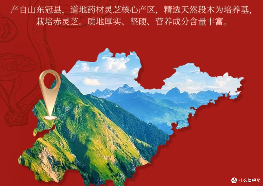 灵芝孢子粉哪个牌子的好?2025最新八大品牌对比