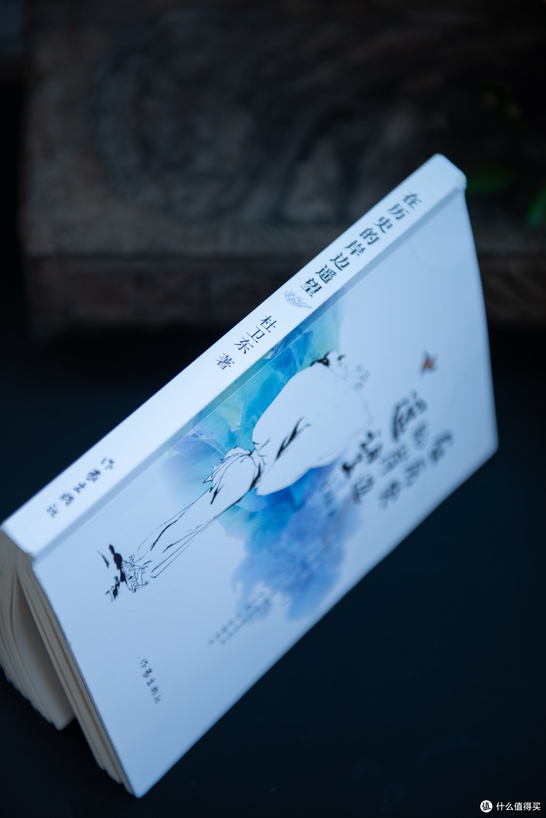 在时光的堤岸驻足凝望——读杜卫东《在历史的岸边遥望》