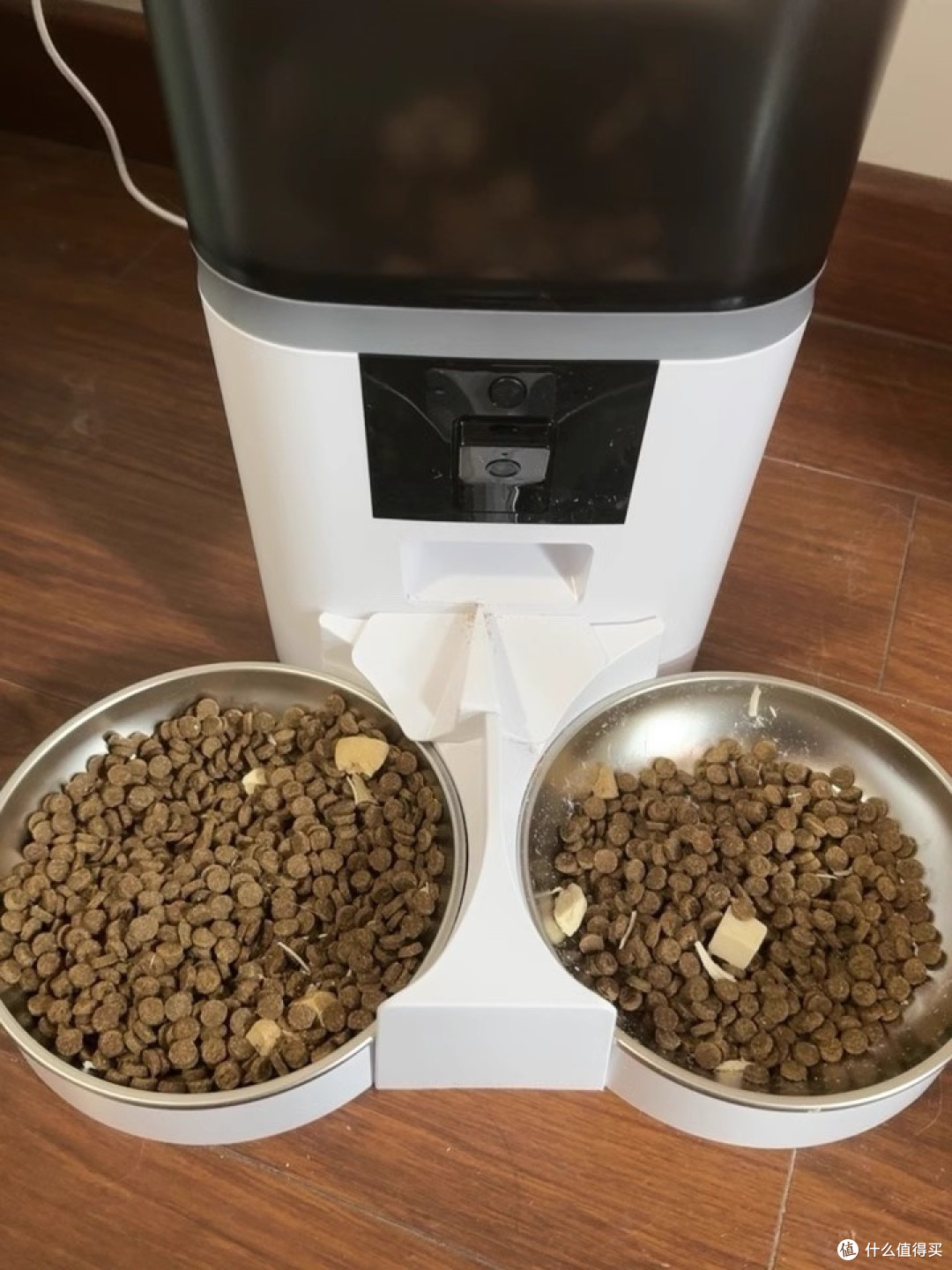 我家毛孩子爱上吃饭，全靠这台喂食器！