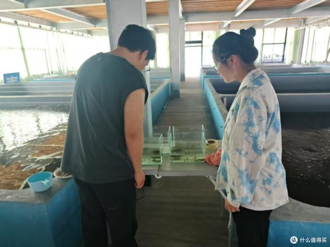 扎根产业创新实践:顾赛麒教授指导学生探索富氢水养殖产业升级